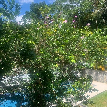 Healand Holiday Bungalow And Restaurant 代尼耶耶 外观 照片